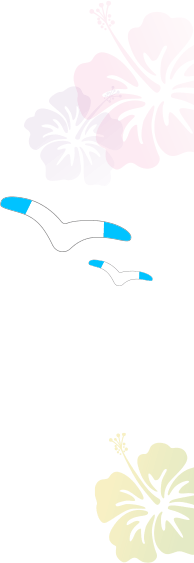 沖縄特集 イオンカード 暮らしのマネーサイト