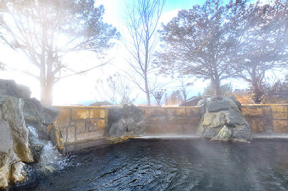 美白の湯宿　大江本家