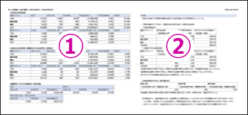 分析資料のサンプル