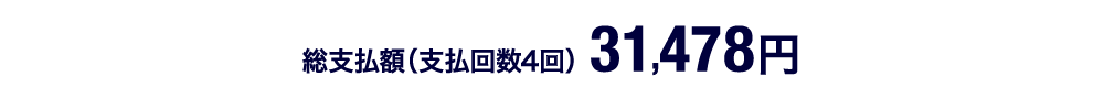 総支払額（支払回数4回）31,478円
