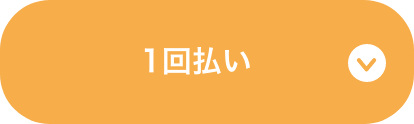 1回払い