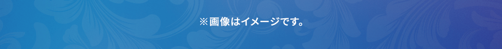 ※画像はイメージです。