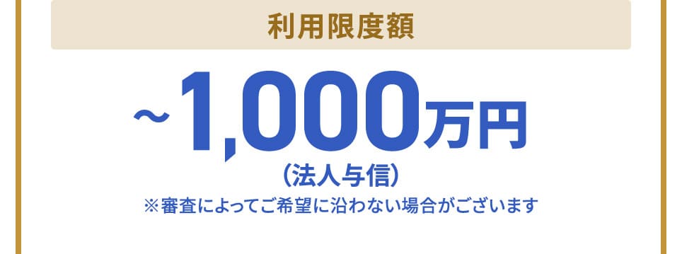 利用可能枠 〜1,000万円(法人与信) ※審査によってご希望に沿わない場合がございます