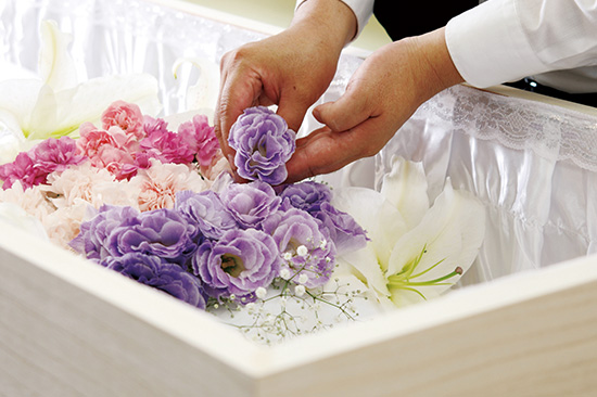 イオンライフとは