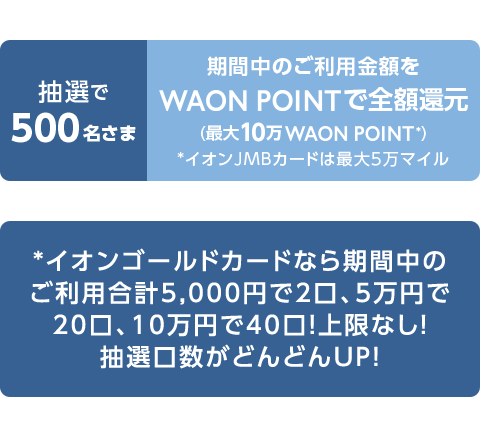 I500 Ԓ̂pz WAON POINTőSzҌ (ő10WAON POINT*) *CIJMBJ[h͍ő5}C *CIS[hJ[hȂԒ̂pv5,000~2A5~20A10~40IȂIIǂǂUPI
