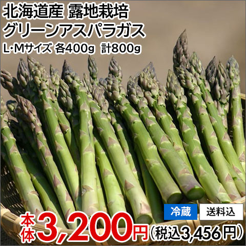 北海道産 露地栽培 グリーンアスパラガス L・Mサイズ各400g 計800g 冷蔵 送料込 本体3,200円(税込3,456円)